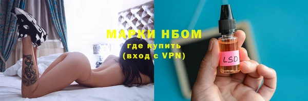 твердый Горнозаводск