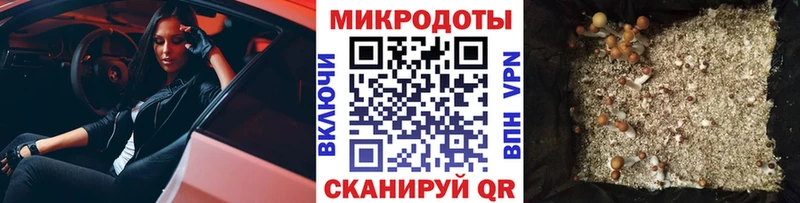 Купить закладки  Ржев  Псилоцибиновые грибы Cubensis 